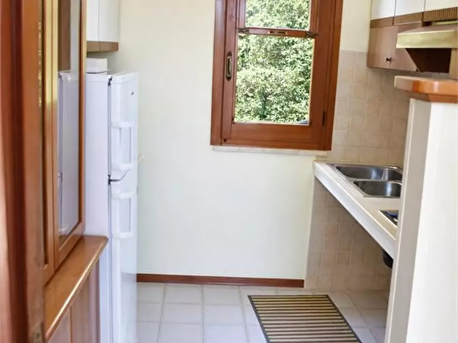 Immagine 7 di Villa in affitto  1 a Vasto