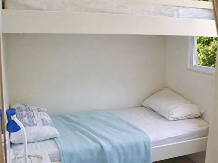 Immagine 9 di Villa in affitto  1 a Vasto