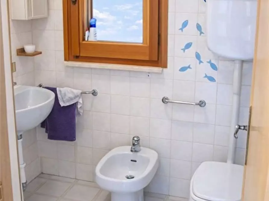 Immagine 10 di Villa in affitto  1 a Vasto