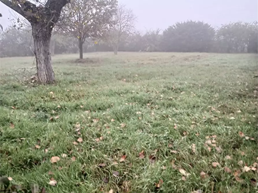 Immagine 4 di Villa in affitto  a Parma