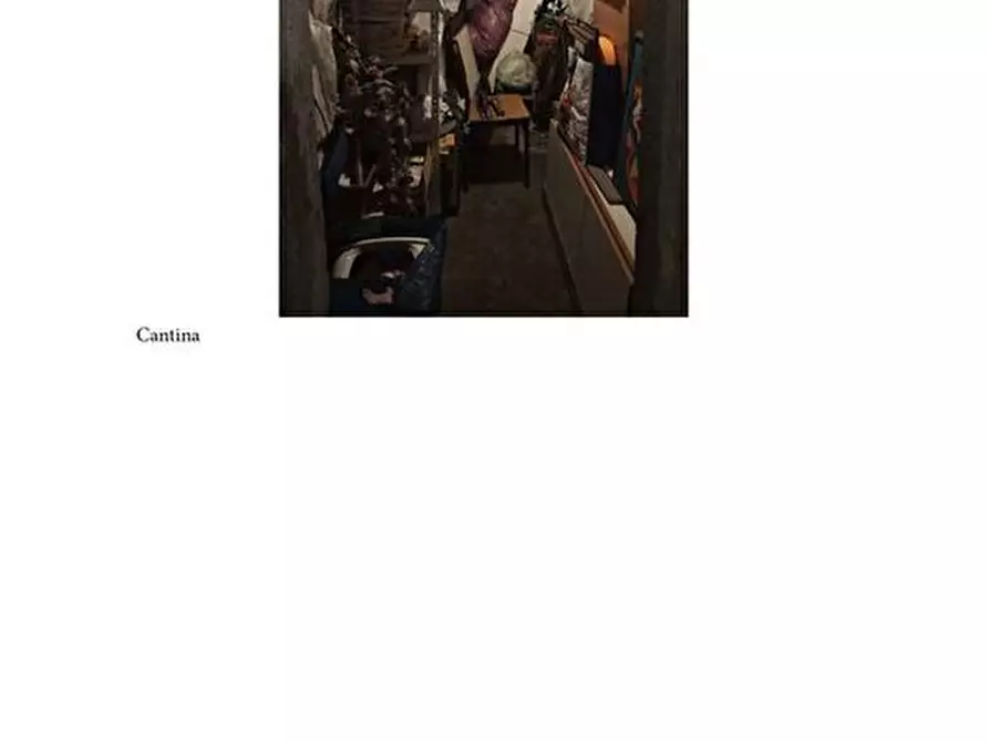 Immagine 9 di Appartamento in vendita  30 a Casalecchio Di Reno