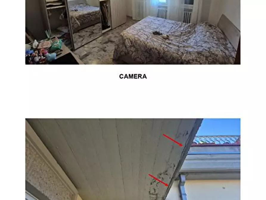 Immagine 10 di Appartamento in vendita  293 a San Pietro In Casale