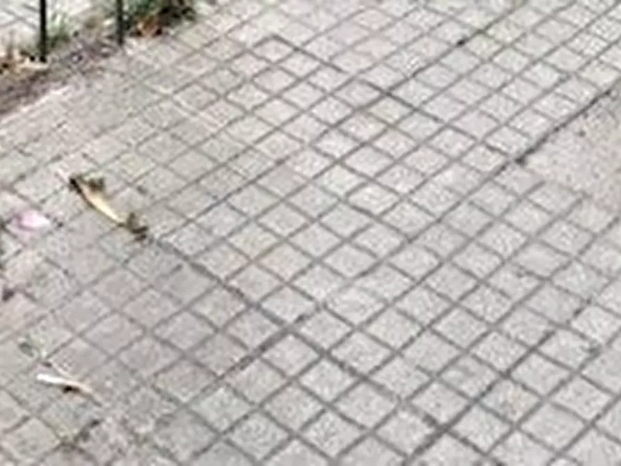 Immagine 9 di Appartamento in vendita  9D/5 a Genova