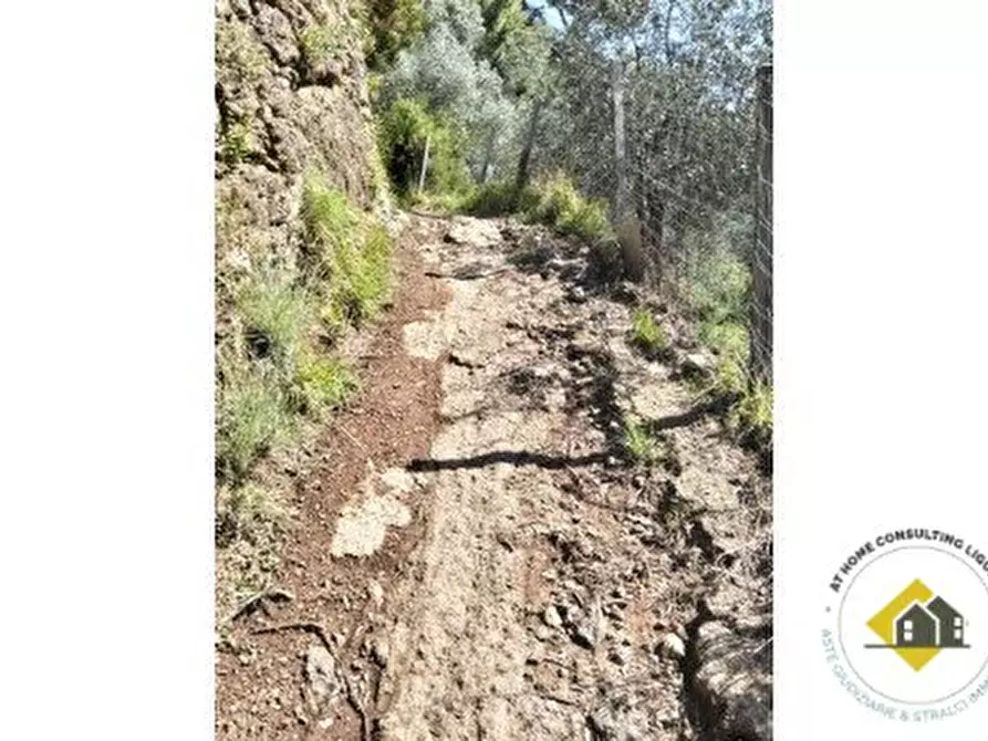 Immagine 10 di Appartamento in vendita  40 B a Santa Margherita Ligure