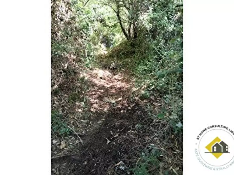 Immagine 8 di Appartamento in vendita  40 B a Santa Margherita Ligure