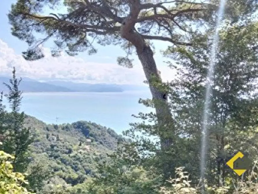 Immagine 1 di Appartamento in vendita  40 B a Santa Margherita Ligure