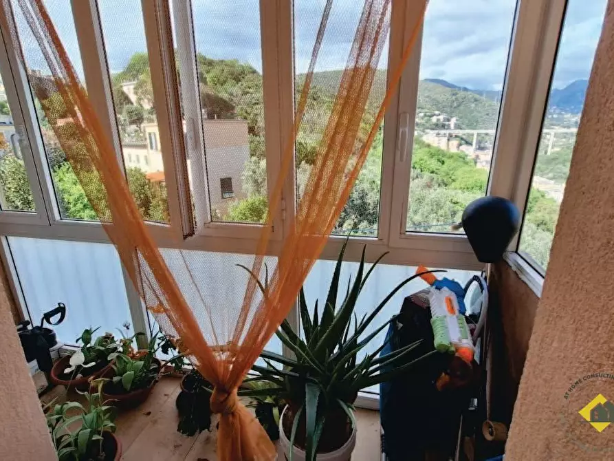 Immagine 7 di Appartamento in vendita  13/18 a Genova