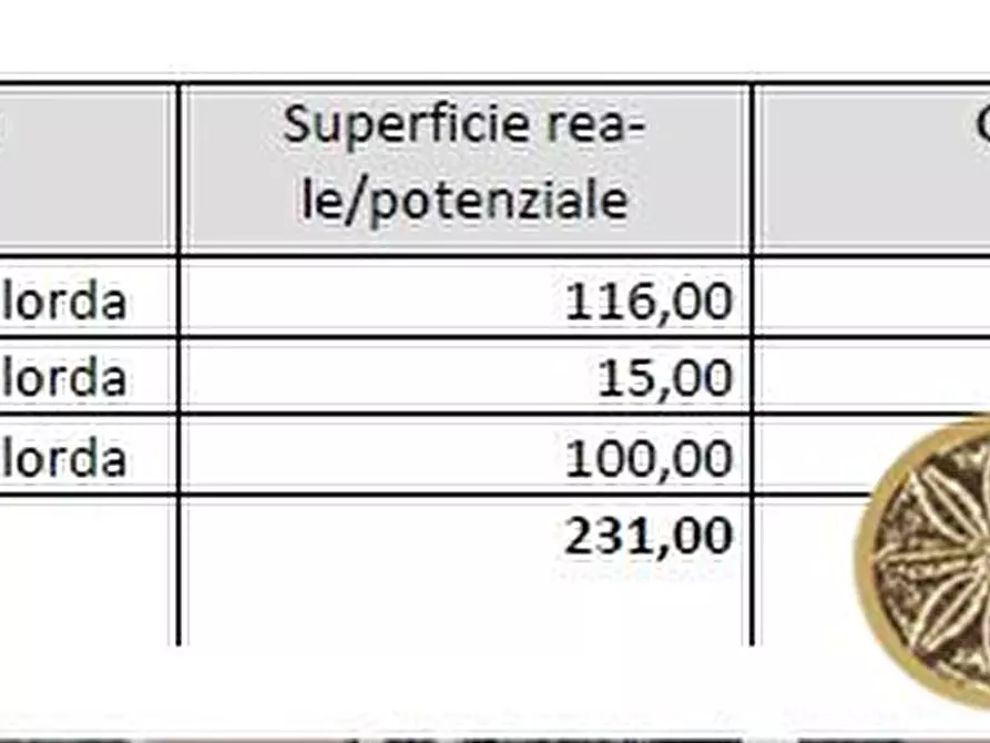 Immagine 5 di Appartamento in vendita  1E a Massa