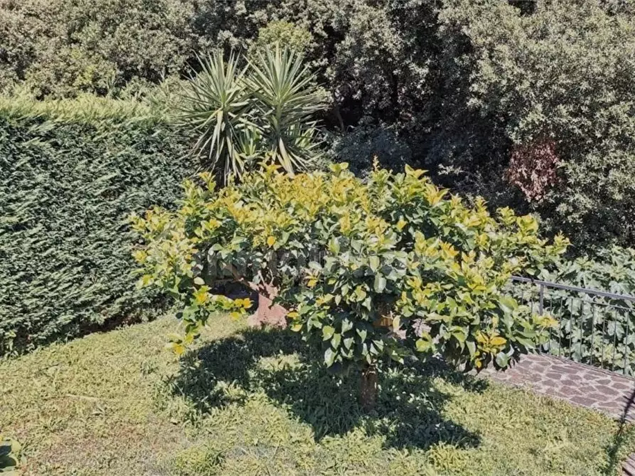 Immagine 5 di Appartamento in vendita  20B a Vado Ligure