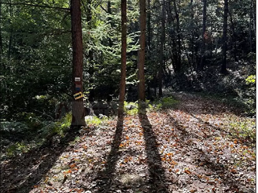 Immagine 4 di Appartamento in vendita  73 a Andrate