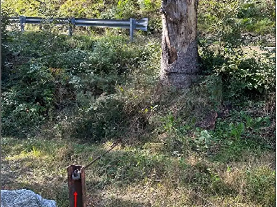 Immagine 2 di Appartamento in vendita  73 a Andrate