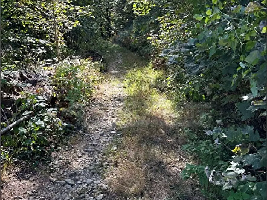 Immagine 3 di Appartamento in vendita  73 a Andrate