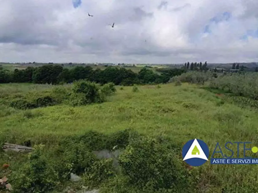 Immagine 5 di Appartamento in vendita  a Montefiascone