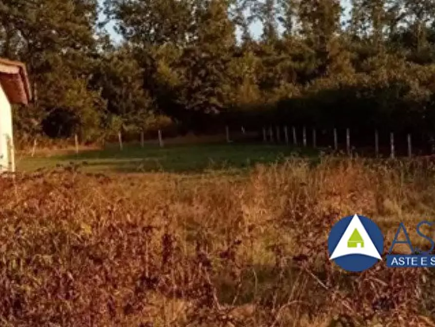 Immagine 3 di Appartamento in vendita  SNC a Sutri