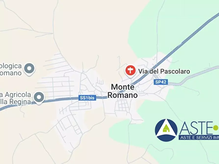 Immagine 1 di Appartamento in vendita  snc a Monte Romano