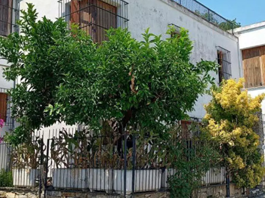 Immagine 2 di Appartamento in vendita  4 a Cervo