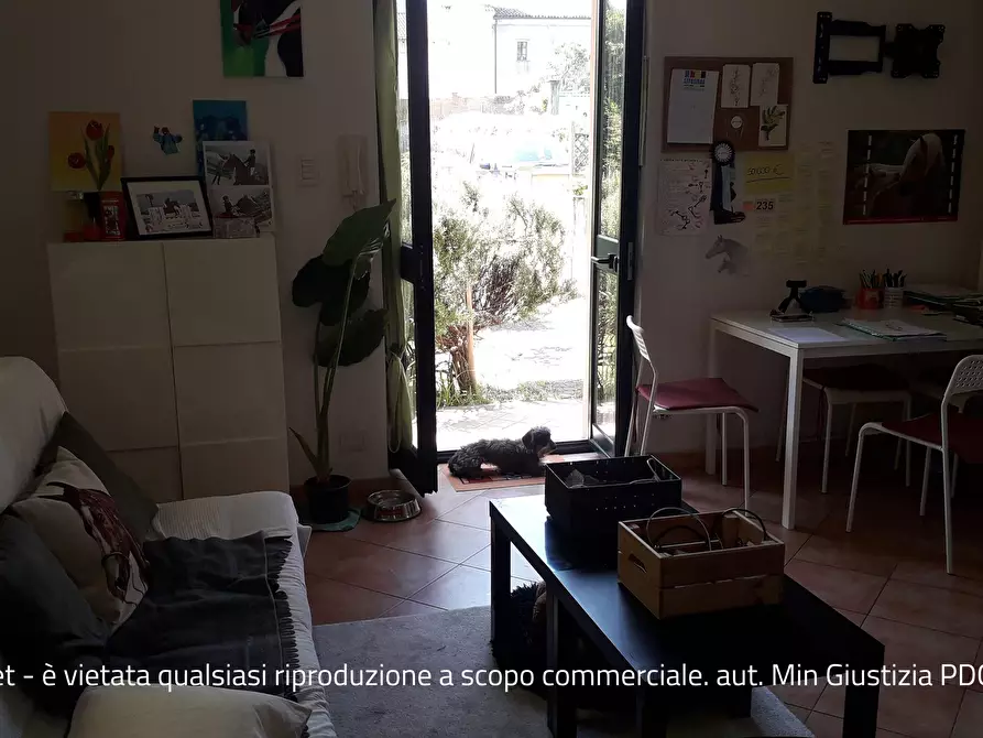 Immagine 7 di Appartamento in vendita  58 a Cumiana