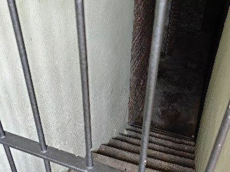 Immagine 6 di Appartamento in vendita  38 a Torino