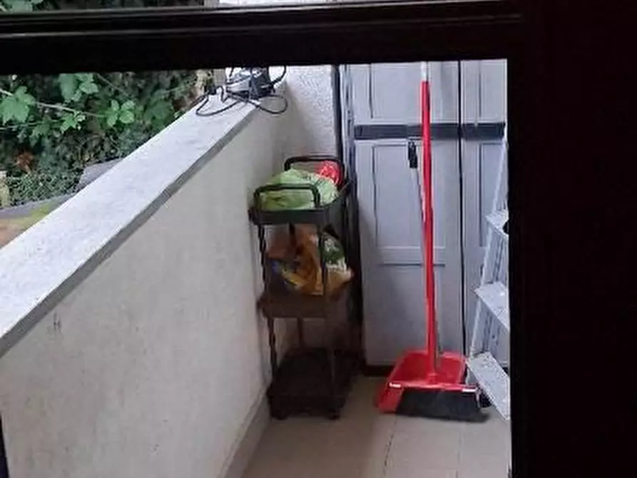 Immagine 4 di Villa in vendita  79 a San Raffaele Cimena