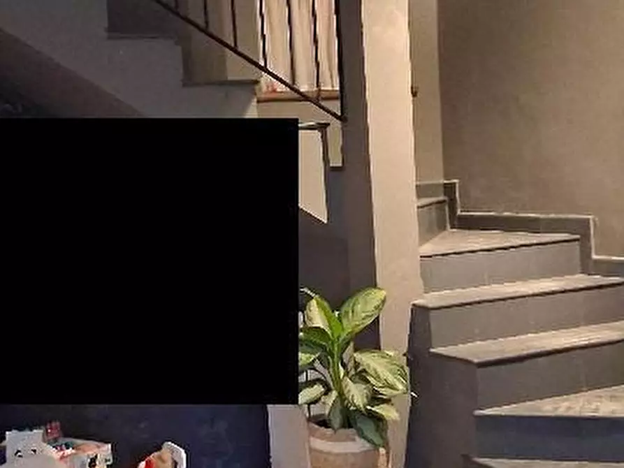 Immagine 7 di Villa in vendita  79 a San Raffaele Cimena