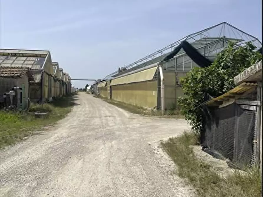 Immagine 2 di Azienda agricola in vendita  5 a Pontinia