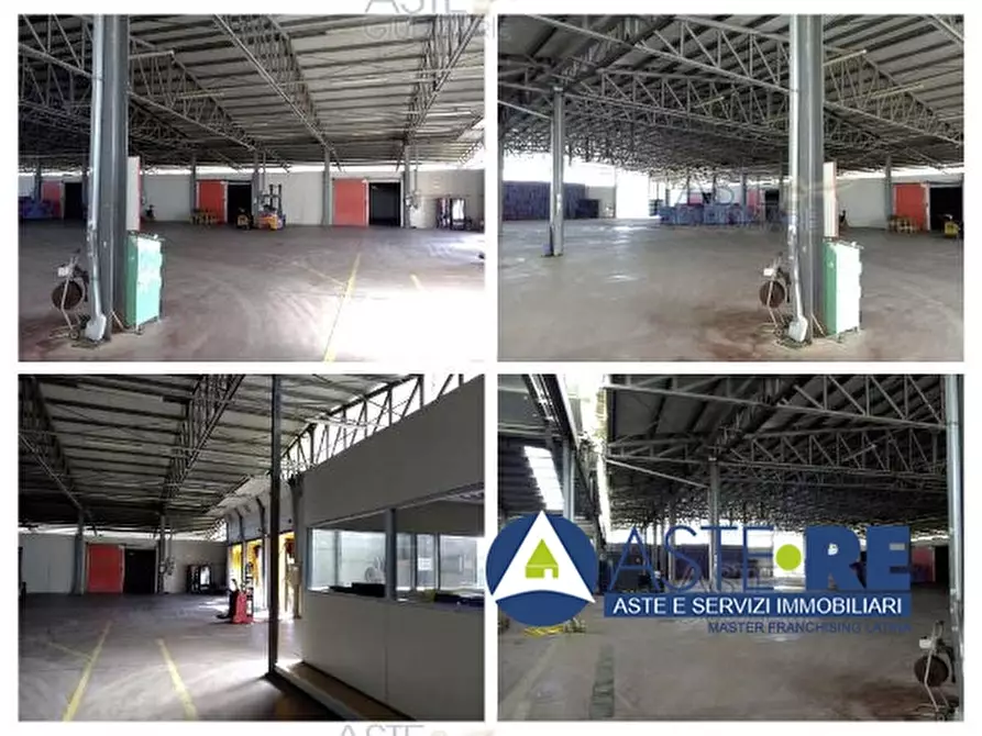 Immagine 2 di Azienda agricola in vendita  a Sabaudia