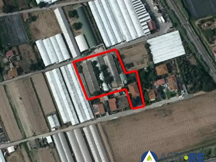 Immagine 1 di Azienda agricola in vendita  109 a Viareggio