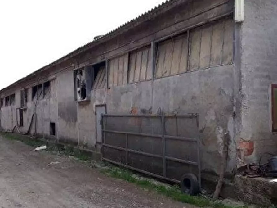 Immagine 1 di Azienda agricola in vendita  55 a Robecchetto Con Induno