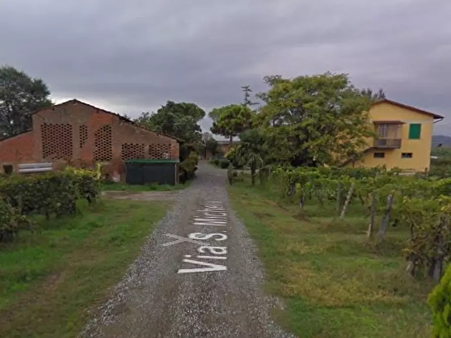 Immagine 1 di Azienda agricola in vendita  56 a San Miniato