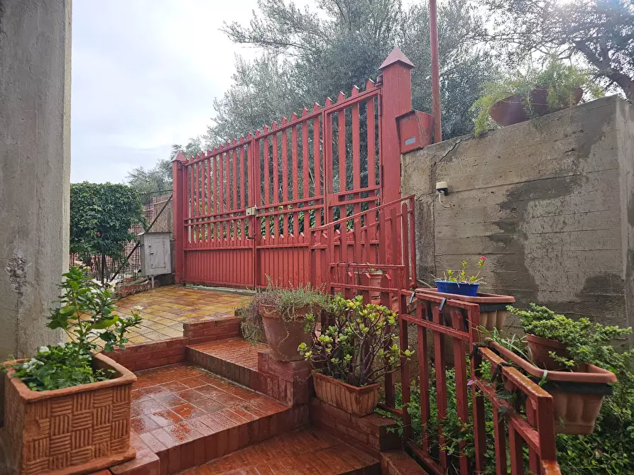 Immagine 4 di Villa in vendita  a Palermo