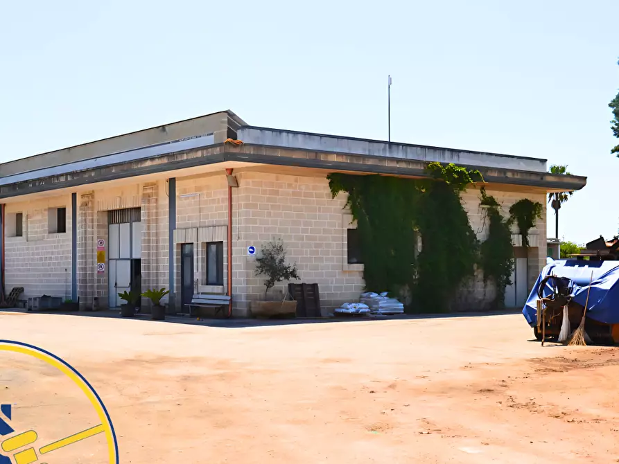 Immagine 3 di Capannone industriale in vendita  sn a Torre Santa Susanna