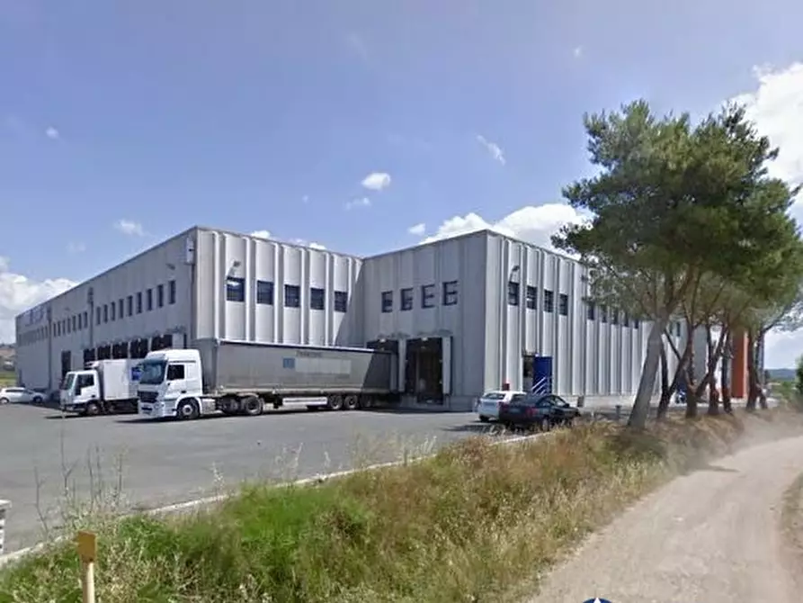 Immagine 1 di Capannone industriale in vendita  a Suvereto