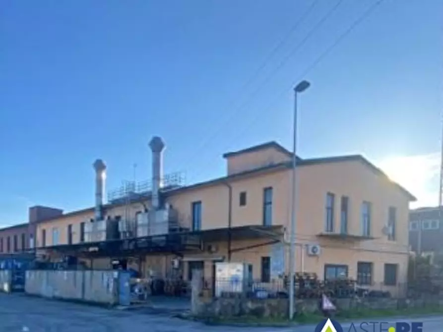 Immagine 1 di Capannone industriale in vendita  a Castelfranco Di Sotto