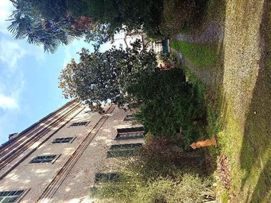 Immagine 7 di Villa in vendita  2 a Oglianico