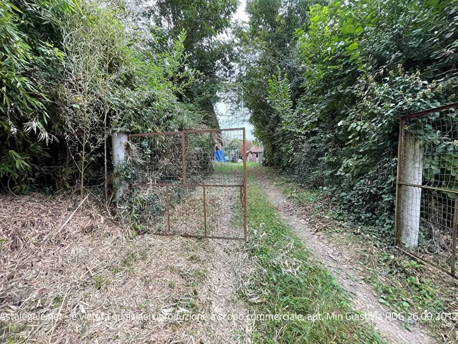 Immagine 4 di Villa in vendita  snc a San Sebastiano Da Po