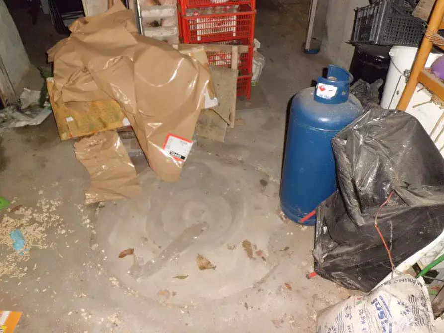 Immagine 5 di Villa in vendita  60 a Pont Canavese