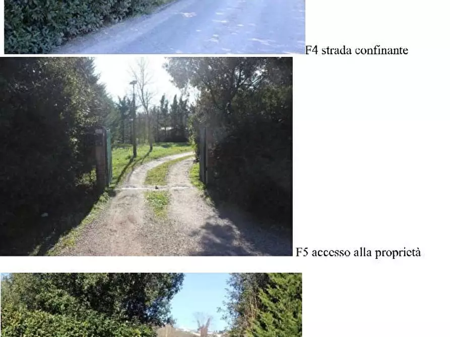 Immagine 4 di Villa in vendita  2/B a Castelfiorentino