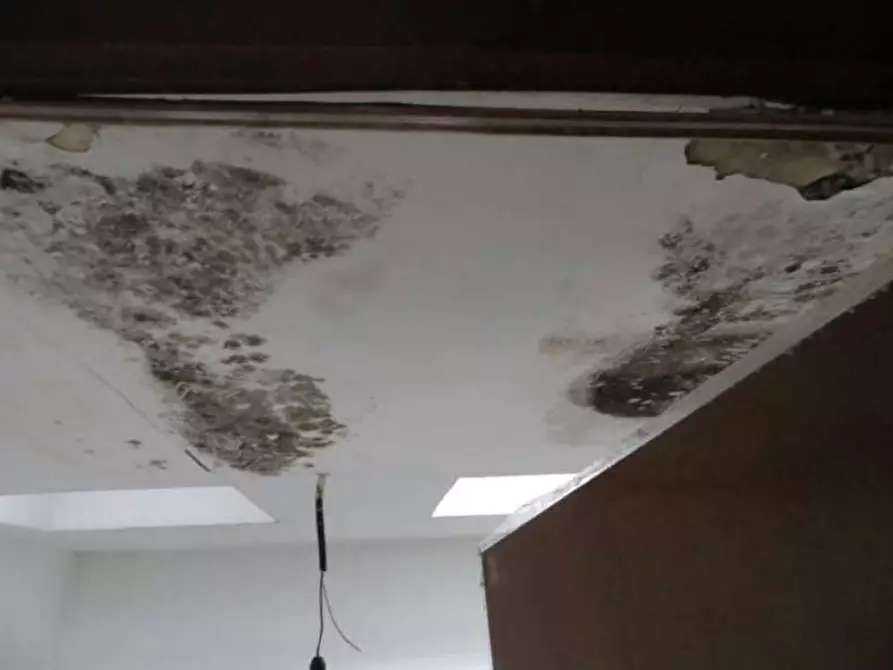 Immagine 8 di Villa in vendita  549 a Milano