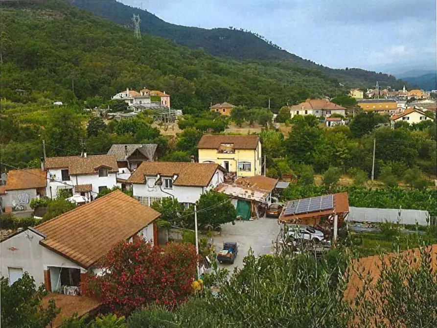 Immagine 3 di Villa in vendita  6 a Albenga