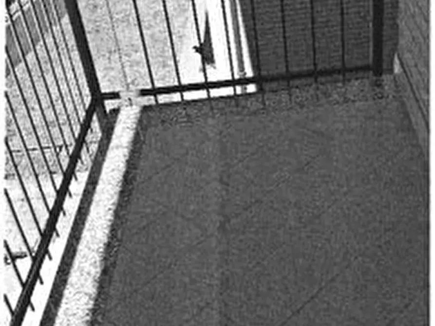 Immagine 7 di Villa in vendita  6 a Volvera