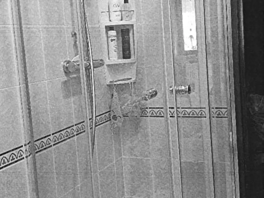 Immagine 10 di Villa in vendita  6 a Volvera