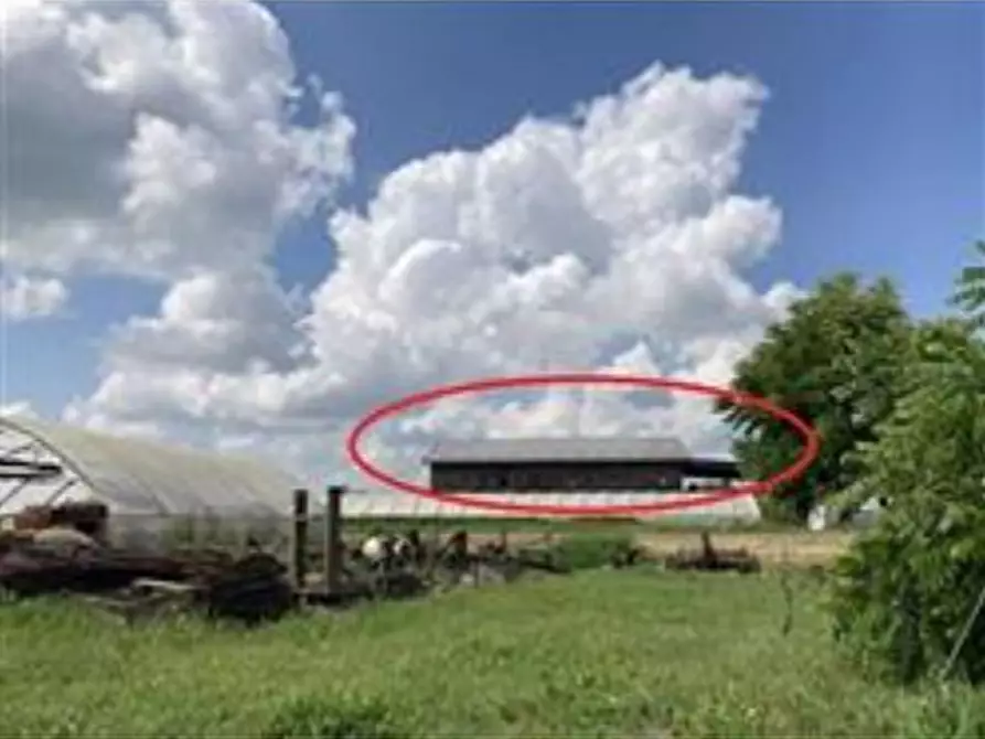 Immagine 8 di Villa in vendita  11 a Villastellone