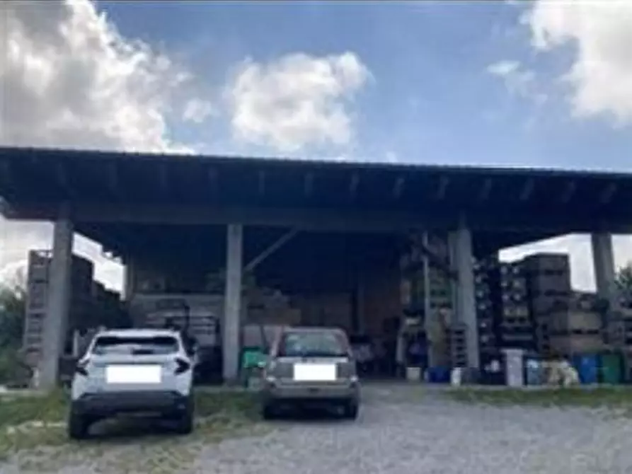 Immagine 7 di Villa in vendita  11 a Villastellone