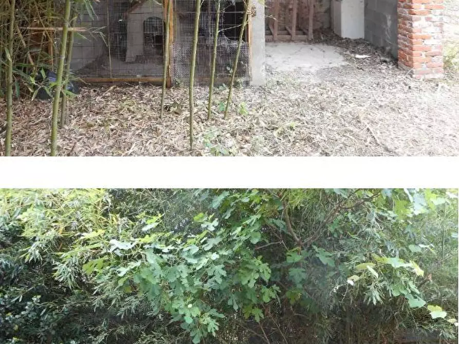 Immagine 10 di Villa in vendita  21 a Cavour