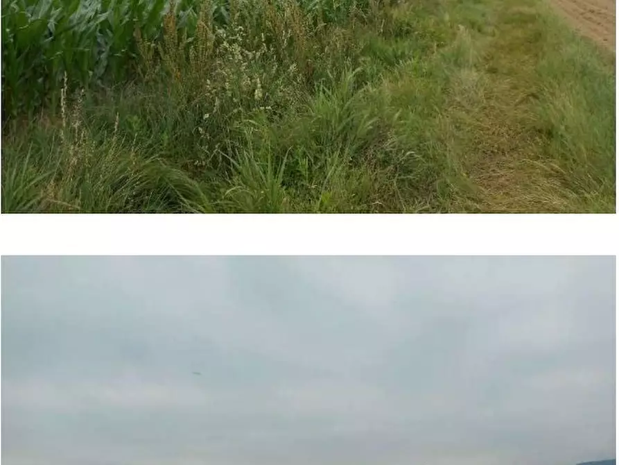 Immagine 3 di Villa in vendita  21 a Cavour