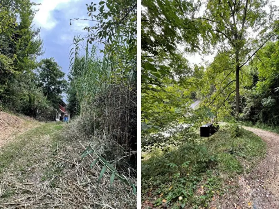 Immagine 3 di Villa in vendita  snc a San Sebastiano Da Po