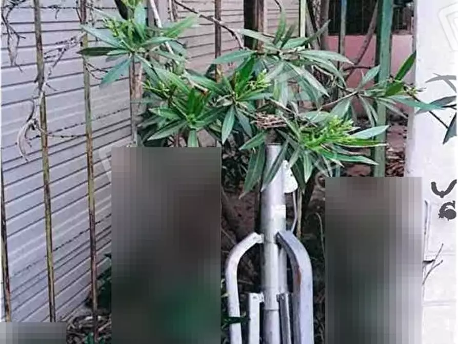 Immagine 5 di Casa semindipendente in vendita  29 a Treviso