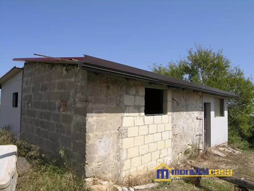 Immagine 3 di Casa indipendente in vendita  a Pachino