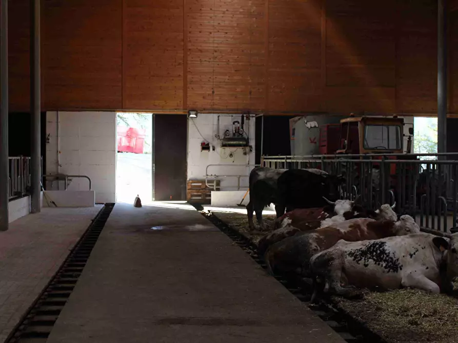 Immagine 6 di Villa in vendita  SNC a Sauze Di Cesana