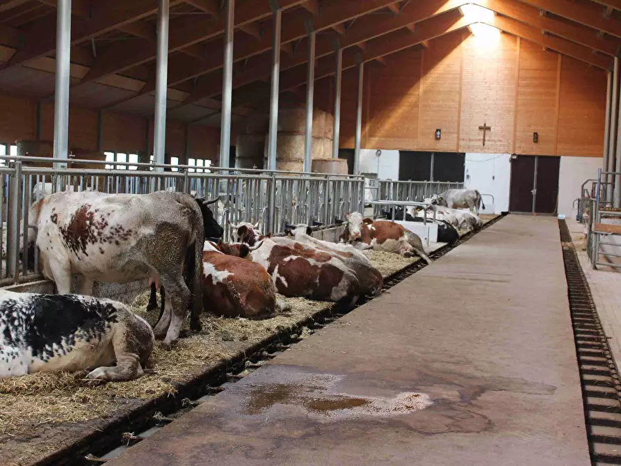 Immagine 7 di Villa in vendita  SNC a Sauze Di Cesana